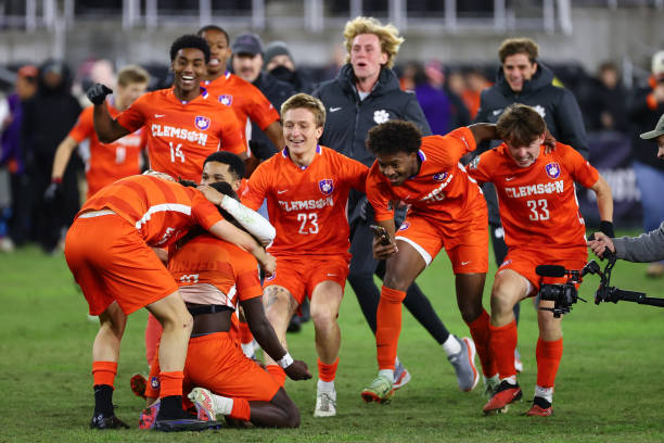 正如罗伯特 正如罗伯特