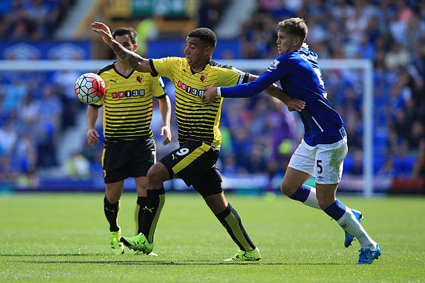 一个简单的 一个简单的